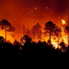 Bushfire burning 