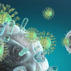 A graphic representation of virus.