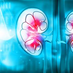 Spearheading a new approach to kidney disease treatment