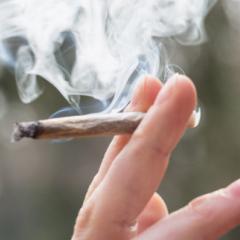Image of a hand with a joint.
