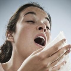 Hay fever survival guide: why you have it and how to treat it