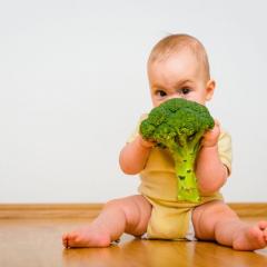 Vegies are best for baby's first solids